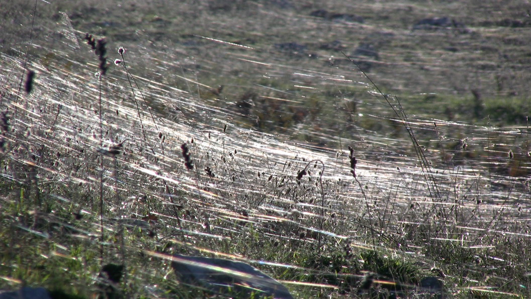 Ballooning - Monte Calvo, Gargano